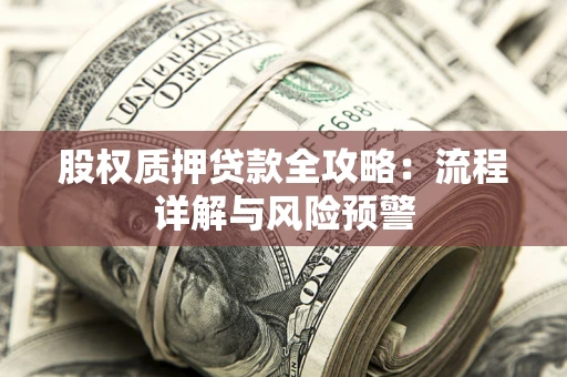 武汉股权质押贷款全攻略：流程详解与风险预警