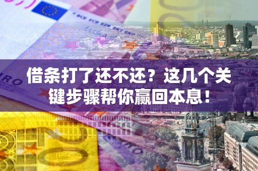 武汉借条打了还不还？这几个关键步骤帮你赢回本息！