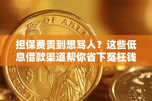 武汉担保费贵到想骂人？这些低息借款渠道帮你省下冤枉钱