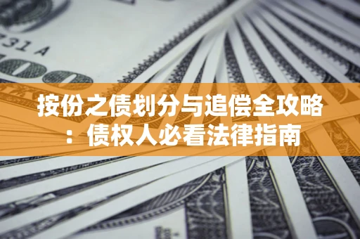 武汉按份之债划分与追偿全攻略：债权人必看法律指南