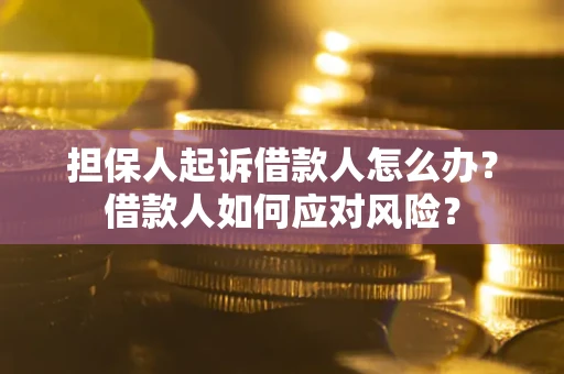 武汉担保人起诉借款人怎么办？借款人如何应对风险？