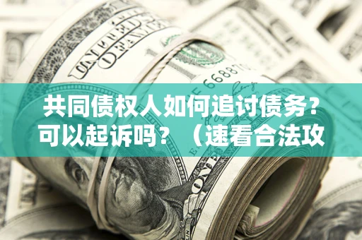 武汉共同债权人如何追讨债务？可以起诉吗？（速看合法攻略）