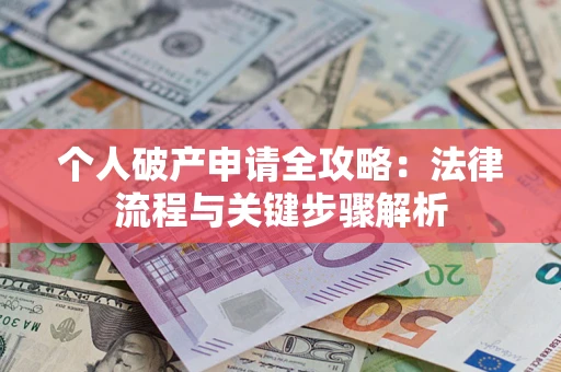 武汉个人破产申请全攻略：法律流程与关键步骤解析