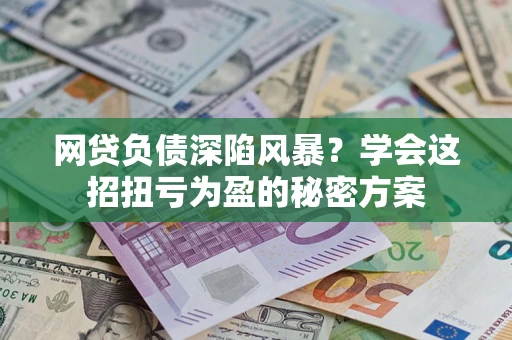 武汉网贷负债深陷风暴？学会这招扭亏为盈的秘密方案