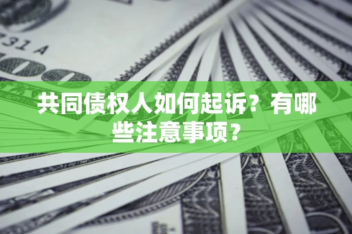 武汉共同债权人如何起诉？有哪些注意事项？