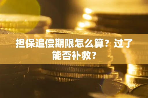 武汉担保追偿期限怎么算？过了能否补救？